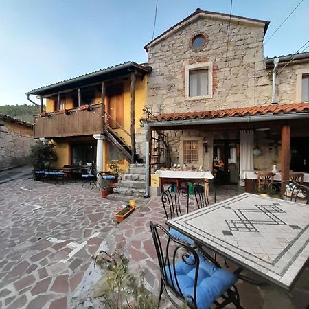 Hostel Xaxid Črni Kal Екстериор снимка