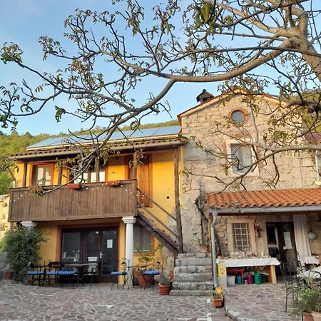 Hostel Xaxid Črni Kal Екстериор снимка