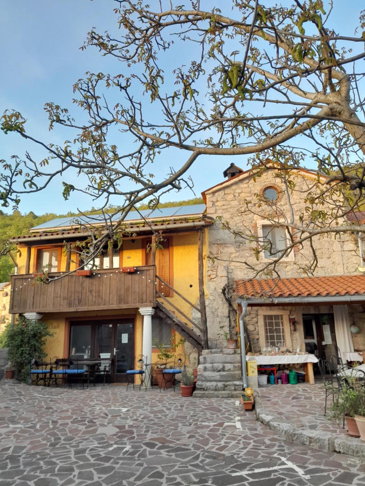 Hostel Xaxid Črni Kal Екстериор снимка