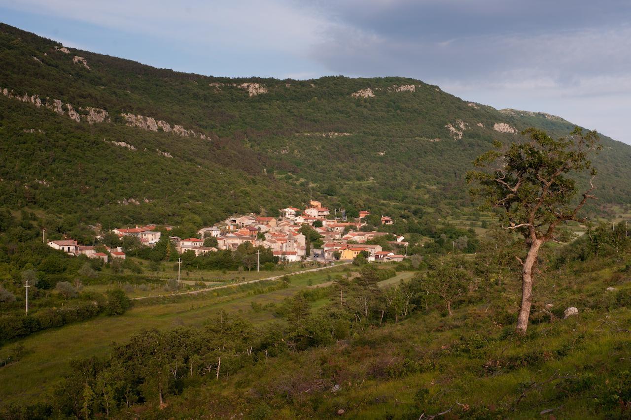 Hostel Xaxid Črni Kal Екстериор снимка