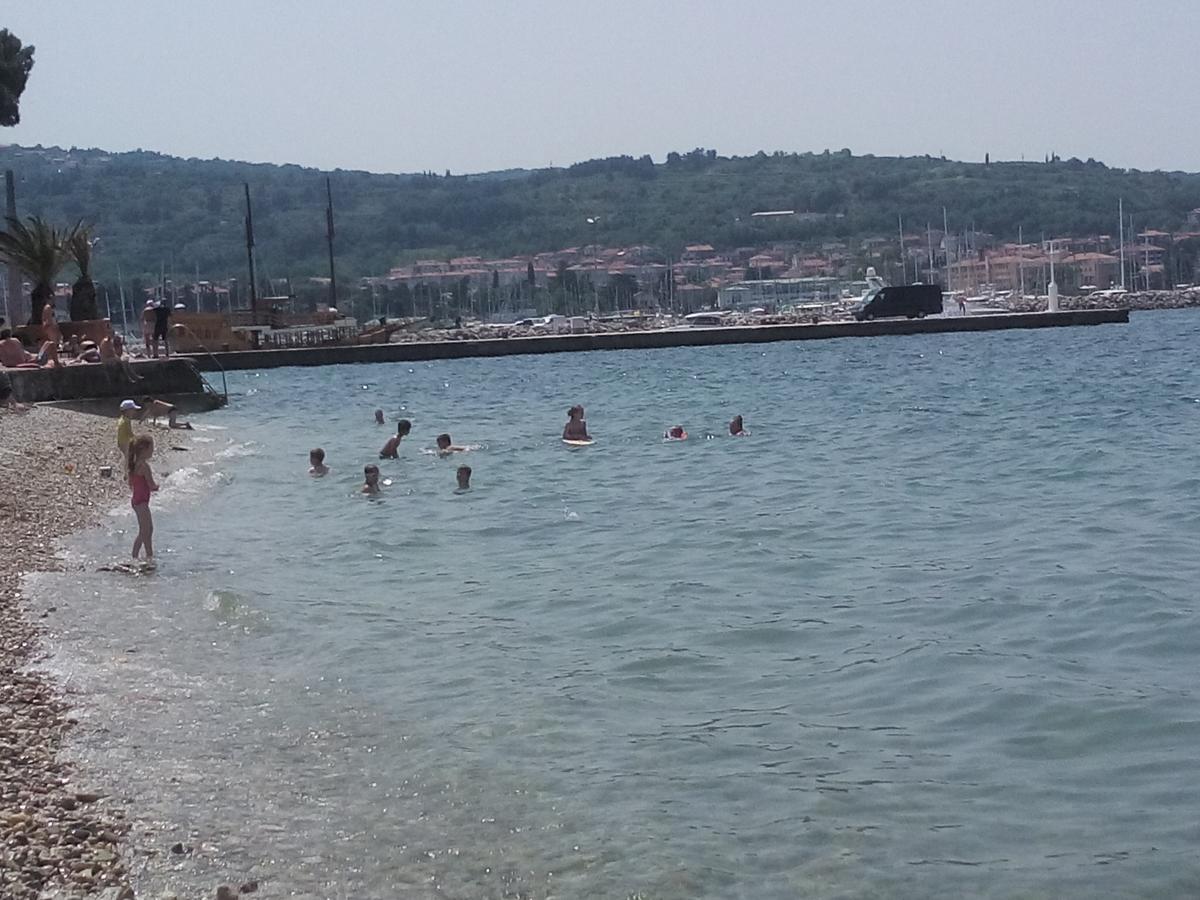 Hostel Xaxid Črni Kal Екстериор снимка